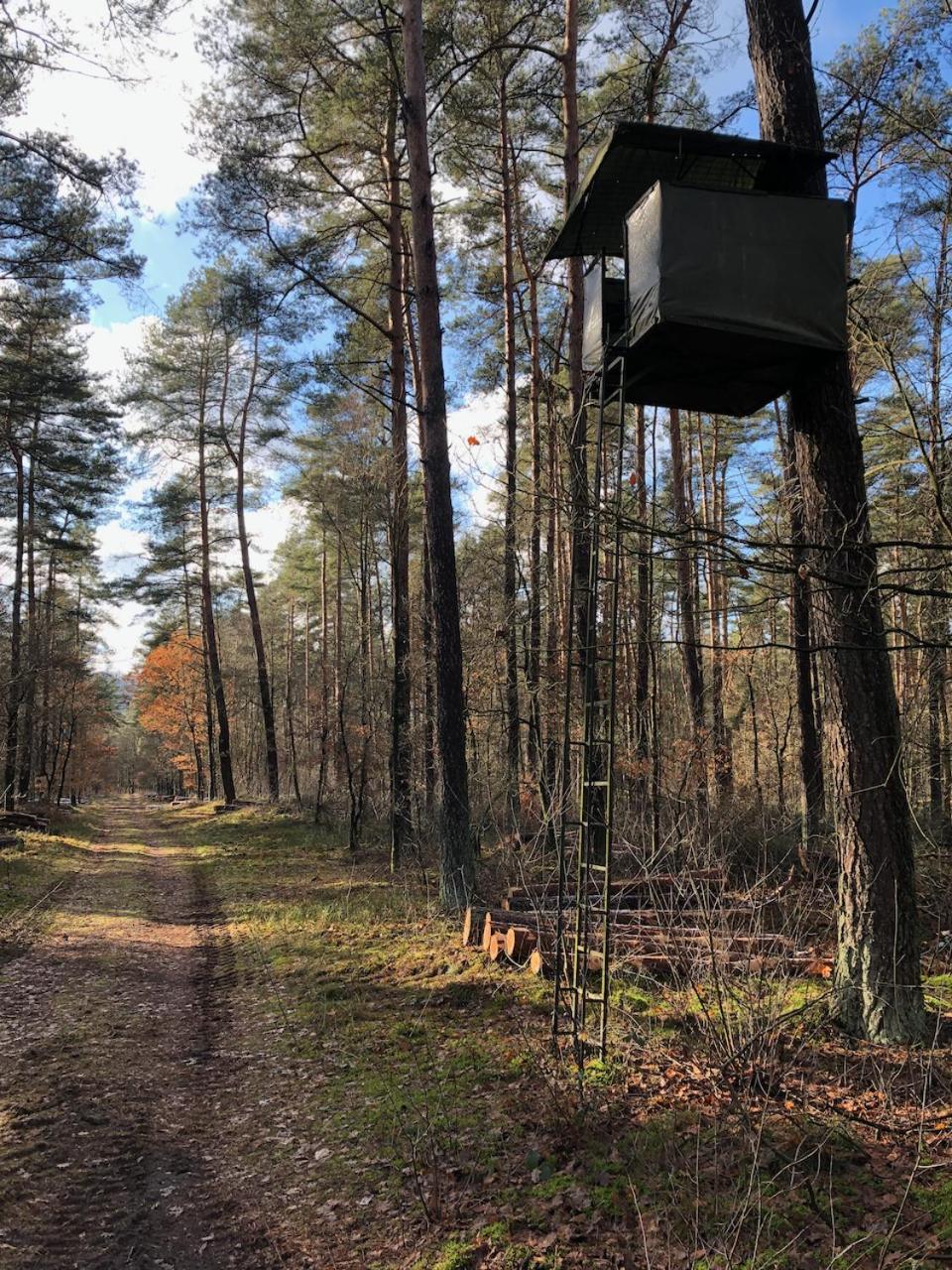 Vakantiechalet Voor 4 Plus 2 Met Sauna Ланакен Экстерьер фото